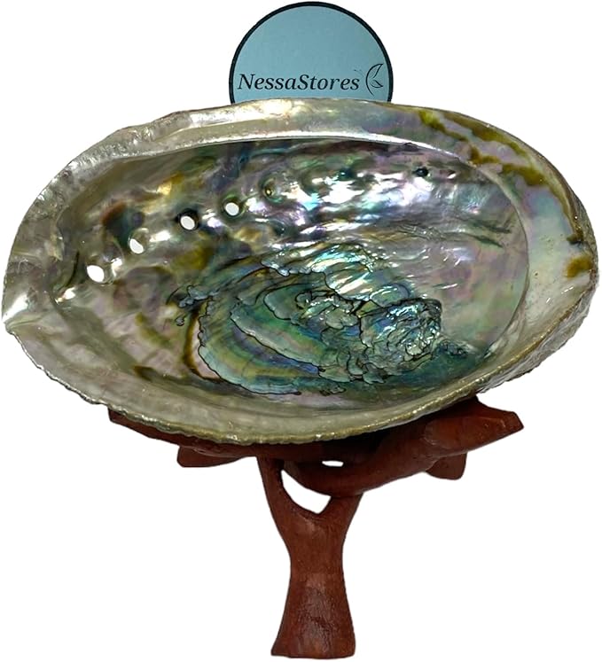 NessaStores Abalone Shell 4-5 Inches & Tripod Stand 4 Inches | Beautiful All Natural Smudge Bowl - Perfect for Smudge Sticks, Incense Sticks and a Sage Smudge Kit. JC-211-B