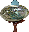 NessaStores Abalone Shell 4-5 Inches & Tripod Stand 4 Inches | Beautiful All Natural Smudge Bowl - Perfect for Smudge Sticks, Incense Sticks and a Sage Smudge Kit. JC-211-B