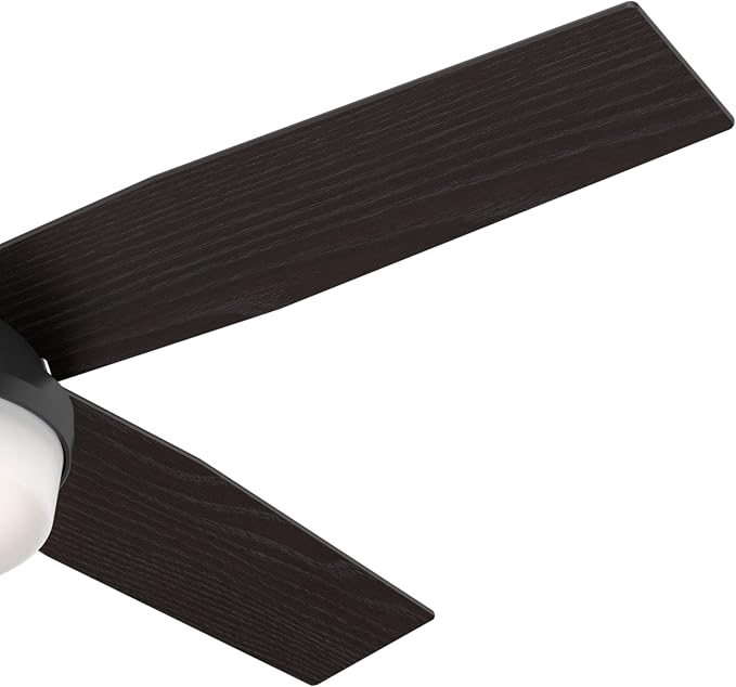 Hunter Dempsey, Outdoor or Indoor, Ceiling Fan, 52 inch, Matte Black