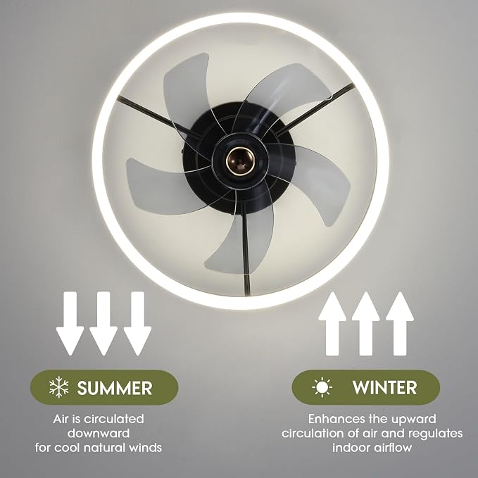 LUDOMIDE Smart Ceiling Fan with Lights and Alexa/Google Assistant/APP Control, 20" Low Profile Fan with 6 Speeds, for Bedroom, Living Room, Patio