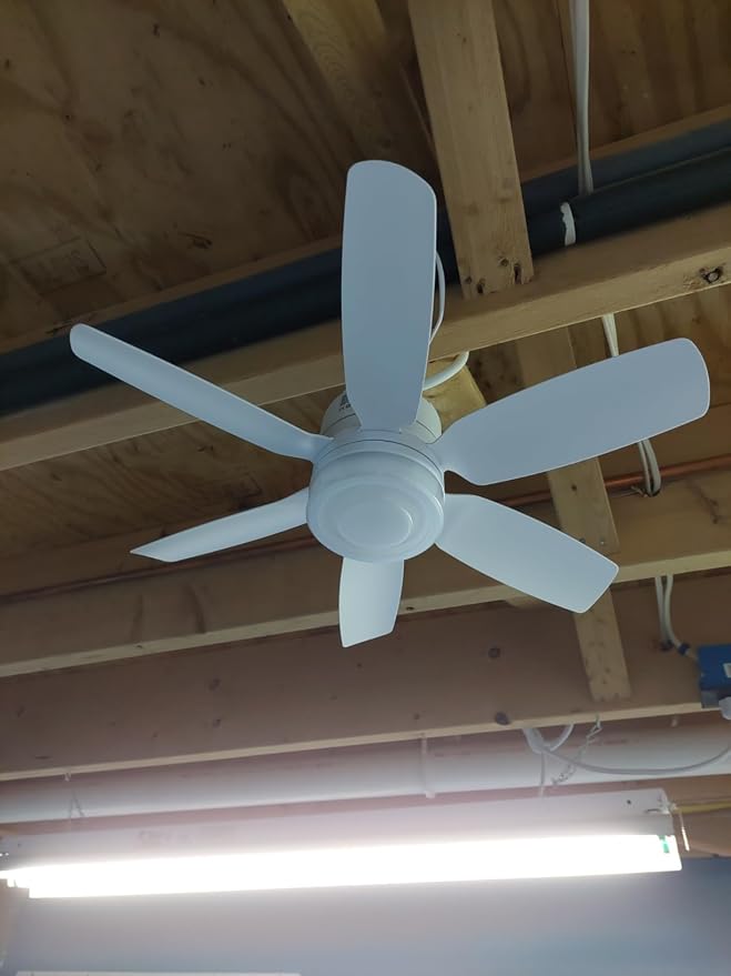 Fanspex 20.5'' Plug in Ceiling Fan with Light for Gazebo Patio Canopy Tent | 5 Fan Speeds with Adjust Lighting for Porch RV Cooling or Air Circulation, White