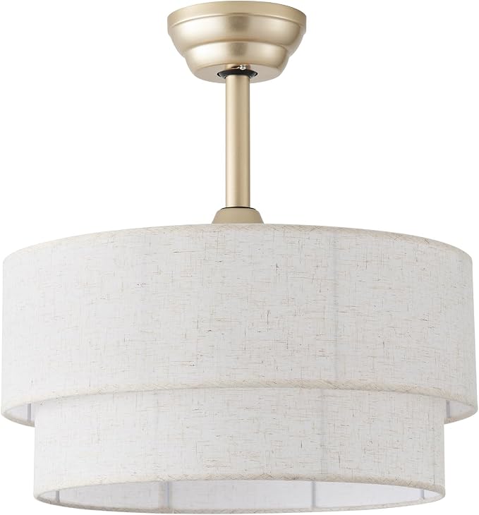 SYDACG 20" Rattan Ceiling Fan with Light, Boho Chandelier Ceiling Fans with Lights Remote Control with Caged 6 Speeds for Bedroom, Nursery, Living Room