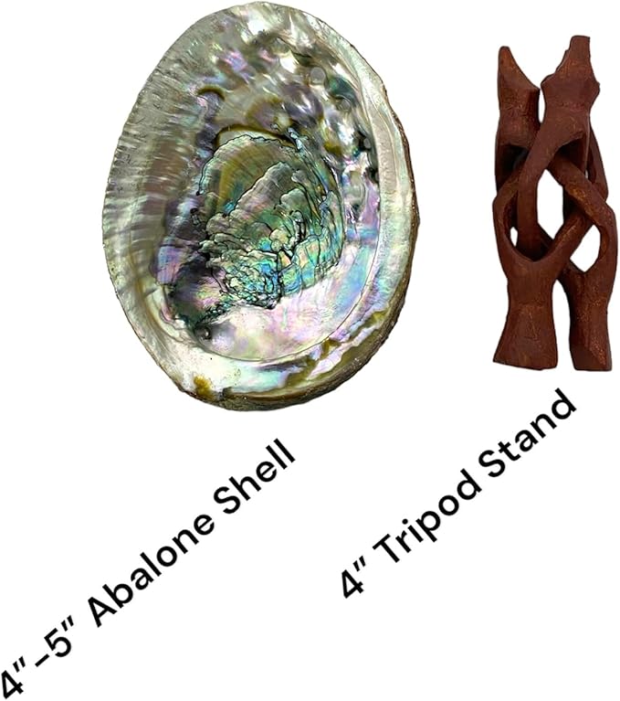 NessaStores Abalone Shell 4-5 Inches & Tripod Stand 4 Inches | Beautiful All Natural Smudge Bowl - Perfect for Smudge Sticks, Incense Sticks and a Sage Smudge Kit. JC-211-B