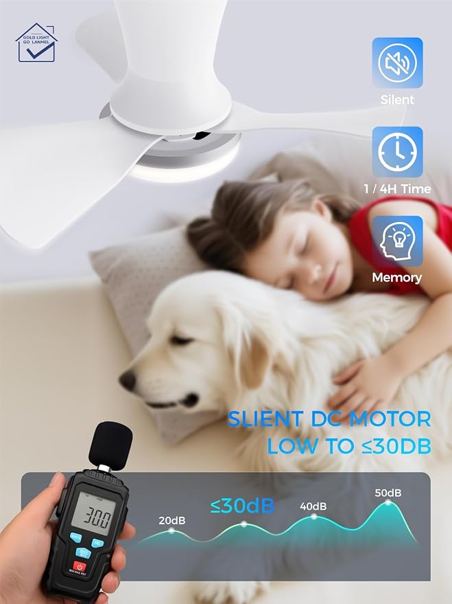 LANMEL Ceiling Fan with Light, Modern Flush Mount Low Profile with Remote Control, Reversible, 3CCT Dimmable, Quiet,LED for Bedroom, Living Room, Indoor/Outdoor Patio Use 22 Inch Silver & White