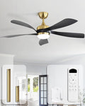 Sofucor 52 Inch Ceiling Fans with Lights and Remote, Outdoor Ceiling Fan with Light 6-Speed 3 CCT 3-Timer, Black Low Profile Ceiling Fan 5 Blade Reversible DC Motor for Living Room Bedroom Patio