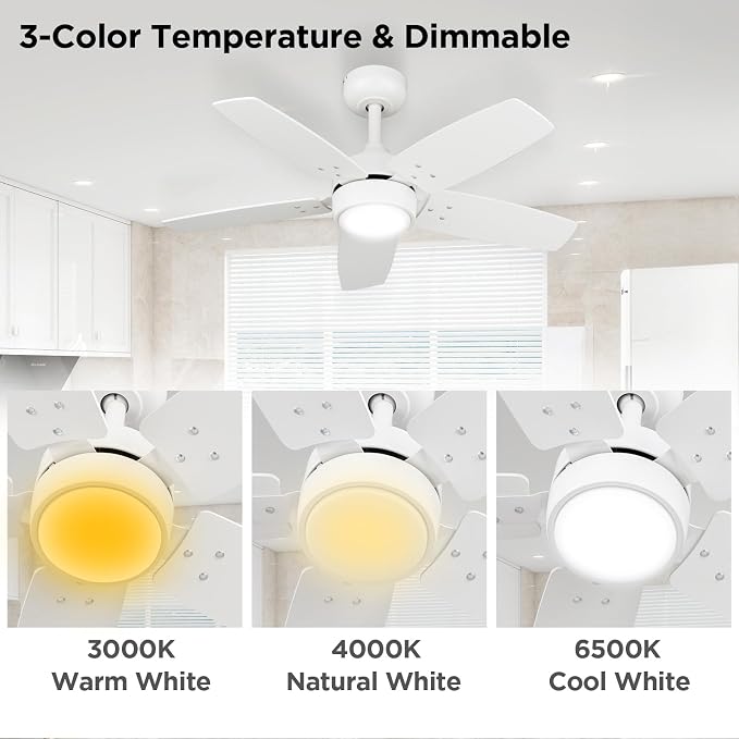 Ceiling Fan 36'' for Small Room: Matte White Modern Fans with Light Remote Control - Reversible Quiet DC Motor Dimmable with 6 Speeds for Dorm Room Bedroom Indoor Outdoor Use