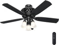 Hunter Promenade, Indoor, Ceiling Fan, Standard Mount, 54 inch, Gloss Black