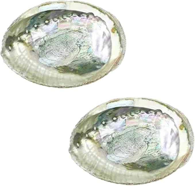 2Pcs Colorful Fashionable Large Abalone Shell Bowl, 4-4.5 Inch Exquisite Natural Sea Shell Smudge Bowl for Sage Burning and Incense for Decor, Display and Great Gift, Incense Holders, Decorations