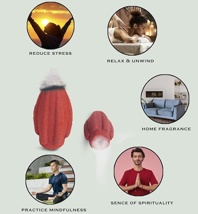 Backflow Natural Incense Waterfall Cones Unique Shape for Backflow Incense for Prayer, Meditation, Relaxation Burner Holder (25 pcs) (Rose, Bullet)