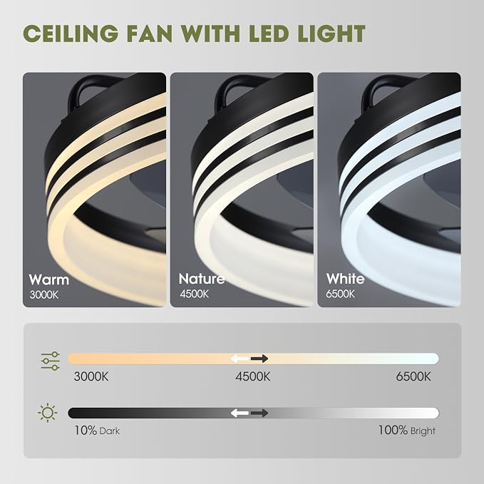 LUDOMIDE Ceiling Fan with Light, Flush Mounted Ceiling Fan with Lights, 6 Wind Speeds Smart Low Profile Fan for Bedroom, Kids Room and Living Room 20" (Black)