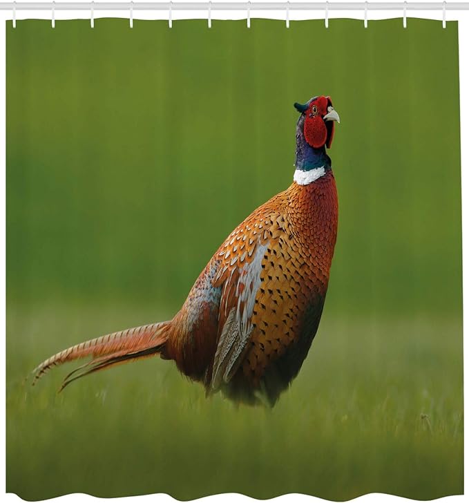 Ambesonne Green Shower Curtain, Czech Republic European Scene of a Creature on Blurry Backdrop Photo, Cloth Fabric Bathroom Decor Set with Hooks, 69" W x 84" L, Ginger Chocolate and Red
