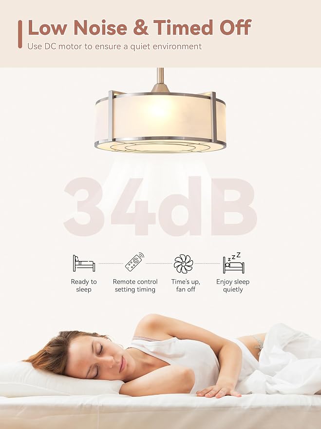 20" Silver Fandelier Ceiling Fans with Lights, Boho Rattan Ceiling Fan with Light Remote Control, Caged Mid-Century Modern with 6 Speeds for Bedroom, Nursery, Living Room