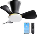 LANMEL 22 Inch Flush Mount Ceiling Fan with Light and Remote, Low Profile Modern Ceiling Fan, 6 Speed, Reversible, 3000k-6500k Dimmable LED, Quiet DC Motor for Indoor Outdoor, Black Gold