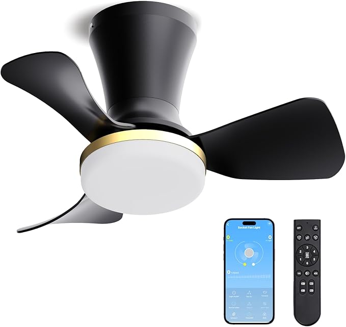 LANMEL 22 Inch Flush Mount Ceiling Fan with Light and Remote, Low Profile Modern Ceiling Fan, 6 Speed, Reversible, 3000k-6500k Dimmable LED, Quiet DC Motor for Indoor Outdoor, Black Gold