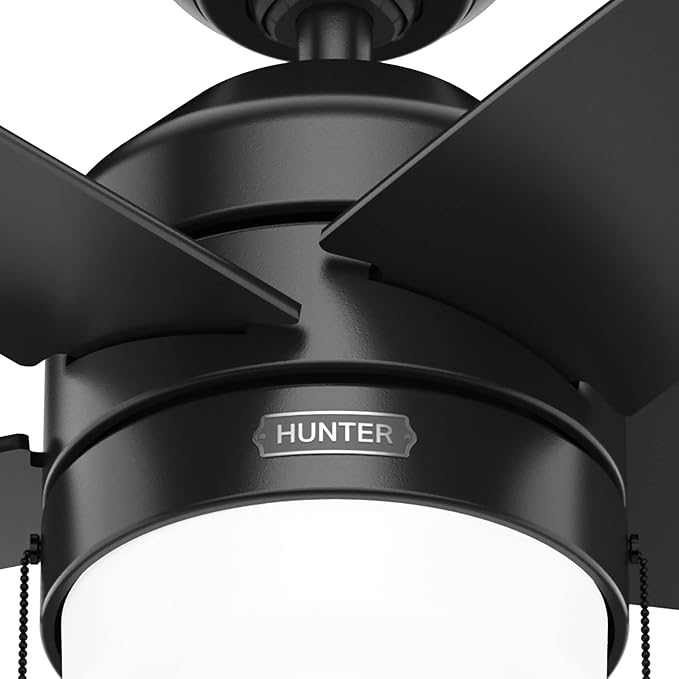 Hunter Bardot, Indoor, Ceiling Fan, Modern, 5 Blades, 44 inch, Matte Black