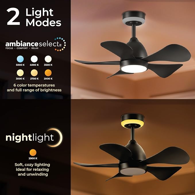 Globe Electric 37000106 30" Ceiling Fan with LED Light, Nightlight, Remote Control, WhisperQuiet DC Motor, 6 Speeds, Matte Black
