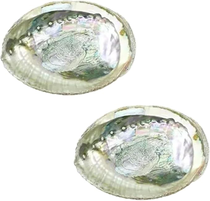 2pcs Colorful Fashionable Large Abalone Shell Bowl, 4-4.5 Inch Exquisite Natural Sea Shell Smudge Bowl for Sage Burning and Incense for Decor, Display and Great Gift, Incense Holders, Decorations