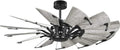Progress Lighting Springer Collection DC Motor Farmhouse Windmill Ceiling Fan, Matte Black, 12-Blade (52" W x 17-3/8" H) P250065-31M