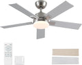 Rayqueen 42Inch Brushed Nickel Ceiling Fans with Lights and Remote,Downrod | 6 Speed Reversible DC motor,3-color temperature dimmable LED.For indoor/covered outdoor.Modern style for bedroom room