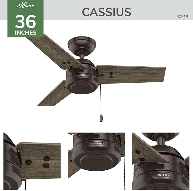 Hunter 36" Cassius Indoor/Outdoor Ceiling Fan, Pull Chain, Matte Black | Covered patios and porches get a no-light design, droop-free blades, compact scale, and easy setup for small spaces.