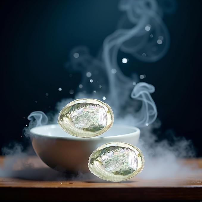 2pcs Colorful Fashionable Large Abalone Shell Bowl, 4-4.5 Inch Exquisite Natural Sea Shell Smudge Bowl for Sage Burning and Incense for Decor, Display and Great Gift, Incense Holders, Decorations