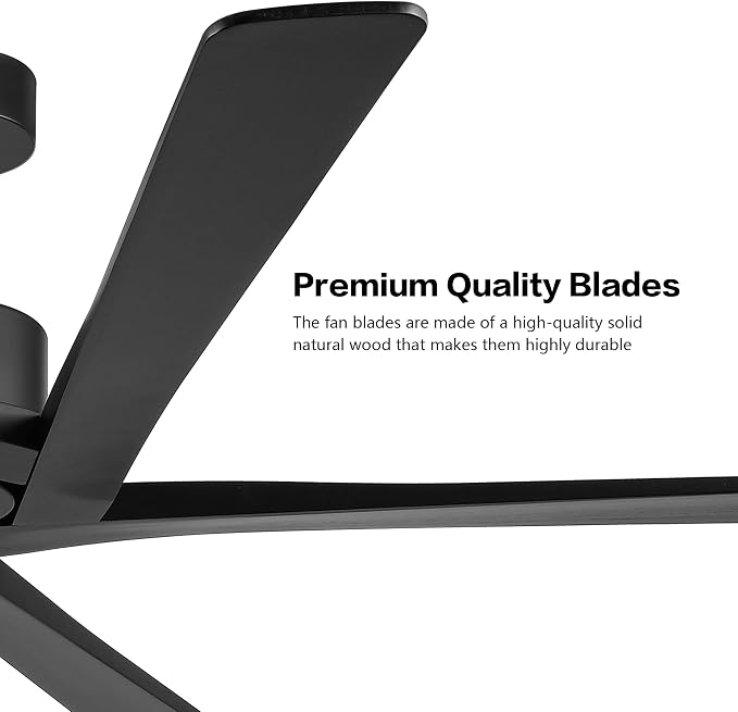 WINGBO 64 Inch DC Ceiling Fan without Lights, 5 Reversible Carved Solid Wood Blades, 6-Speed Noiseless DC Motor, Ceiling Fan No Light with Remote, Indoor Ceiling Fans in Matte Black Finish, ETL Listed