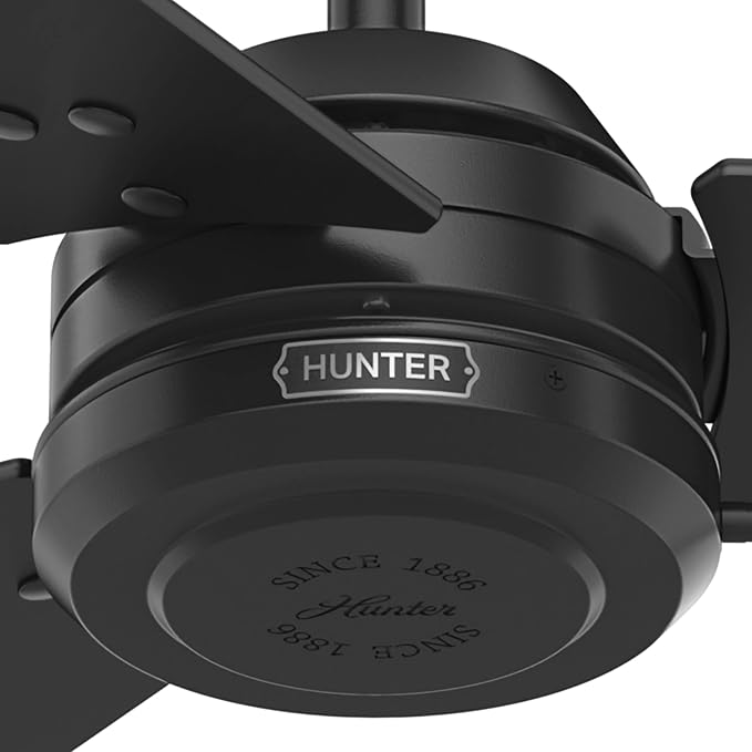 Hunter Cassius, Outdoor or Indoor, Ceiling Fan, 52 inch, Matte Black | No Light, Standard Mount, Pull Chain, 3 Blades, For Living Room, Patio, Porch, Garage, 59264