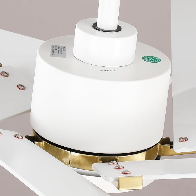 Ceiling Fans with Lights and Remote (Modern White, 60 inch)