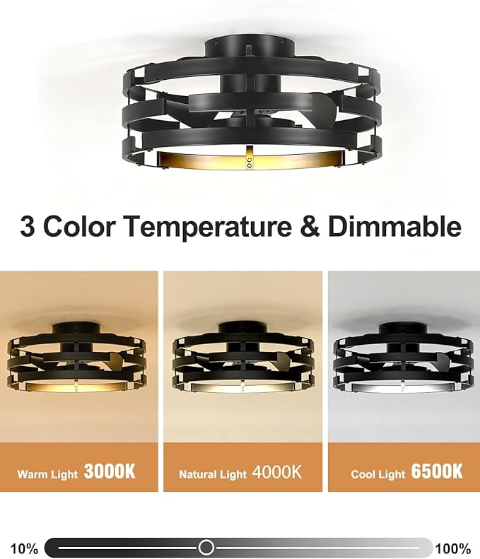 Roomratv Black Fandelier Flush Mount Ceiling Fan with Lights, 20" Low Profile Caged Ceiling Fan with Remote, Modern Enclosed Bladeless Fan Light Fixtures for Bedroom Living Room