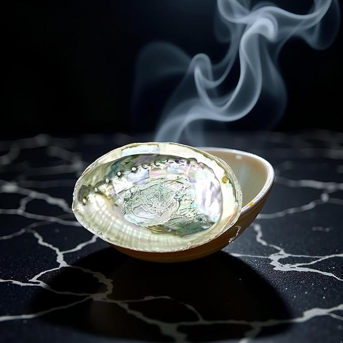 2pc Colorful Fashionable Large Abalone Shell Bowl,4-4.5 Inch Exquisite Natural Sea Shell Smudge Bowl for Sage Burning and Incense for Decor,Display and Great Gift,Incense and Incense Holders