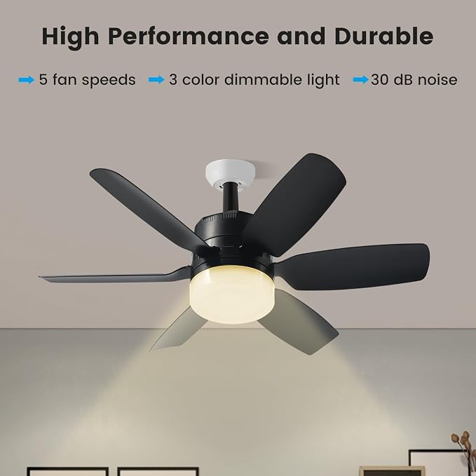 Fanspex 20.5'' Socket Ceiling Fan Light for Home Living Room Bedroom Garage | 5 Fan Speeds with 3 Colors Adjustable Light, 8 Hours Timer, Black