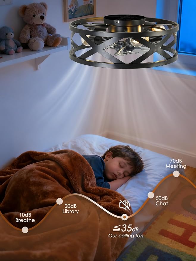 20 Inch Caged Ceiling Fan Light with Remote, Black Flush Mount Bladeless | Ceiling Fan with 6 Speed Reversible DC Motor, Fandelier Ceiling Fans with Lights for Kitchen bedroom