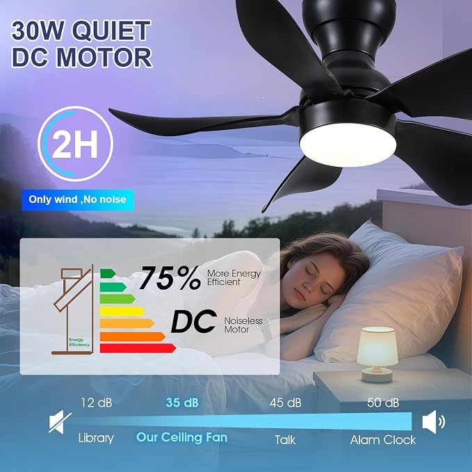 PHORUS 30"Black Low Profile Flush Mount Ceiling Fans with Lights and Remote | Super Large Airflow with 6 Wind Speeds, Reversible, Dimmable 3 CCT LED, 30W Noiseless DC Motor,Timer, for Bedroom Kitchen
