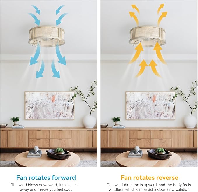20" Boho Ceiling Fans with Lights, Rattan Flush Mount Ceiling Fan with Light Remote Control with Caged 6 Speeds for Bedroom, Nursery, Living Room (Gold)