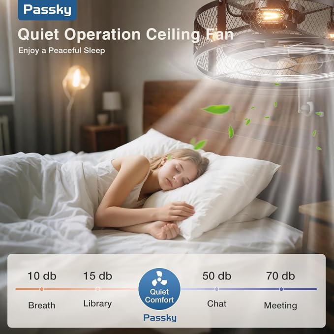 Passky 20 Inch Farmhouse Caged Ceiling Fans with Lights and Remote, Black Downrod Mount Bladeless Fandelier, 6 Speeds Bladeless Ceiling Fan Light for Bedroom, Kitchen, Living Room, Indoor