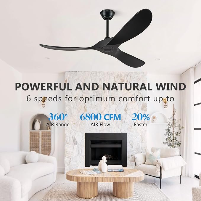 Eliora 52 Inch Ceiling Fan without Lights, Wood Ceiling Fans no Light with Remote Wall Switch and DC Motor, Indoor Outdoor Fan for Patio, Porch, Bedroom Propeller 3 Blades Ceiling Fans Matte Black