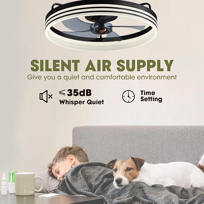 LUDOMIDE Smart Ceiling Fan with Lights and Alexa/Google Assistant/APP Control, 20" Low Profile Fan with 6 Speeds, for Bedroom, Living Room, Patio