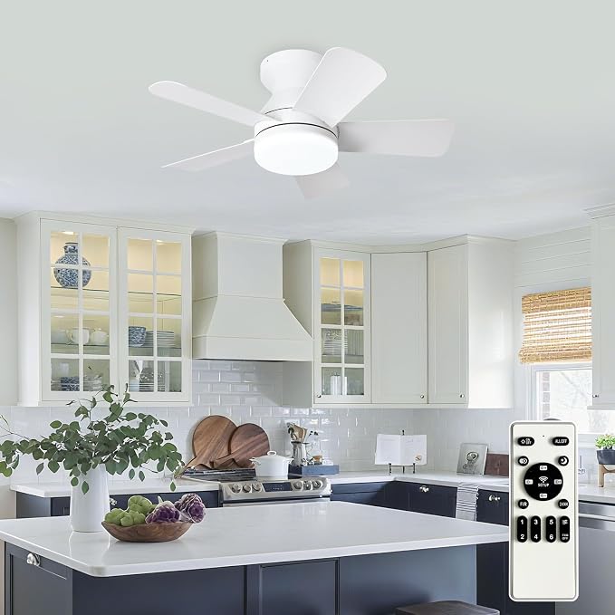Depuley Modern Ceiling Fan with Light: 25-Inch White Small Fans for Bedroom Indoor Outdoor - Dimmable Low Profile Ceiling Fans with Remote Control Flush Mount 5 Reversible White Blades 6 Speeds Timer