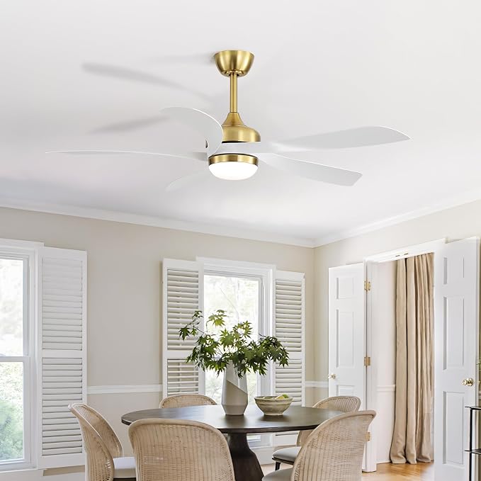 CACI Mall 52 Inch Ceiling Fans with Lights and Remote, modern, Outdoor ceiling fan with 6-Speed, 5 Blades, 2 Downrods, 3 CCT, Timer, Quiet Reversible DC Motor for Living Room, Bedroom, Patios