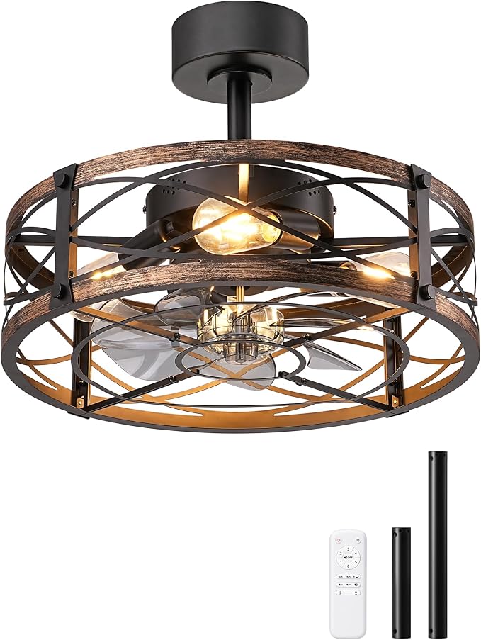 EDISHINE 20 Inch Fandelier Caged Ceiling Fans with Lights and Remote, 10%-100% Dimmable, Rustic Bladeless Ceiling Fan, Small Farmhouse Fan Lights Ceiling Fixtures for Kitchen, Bedroom-Brushed Gold