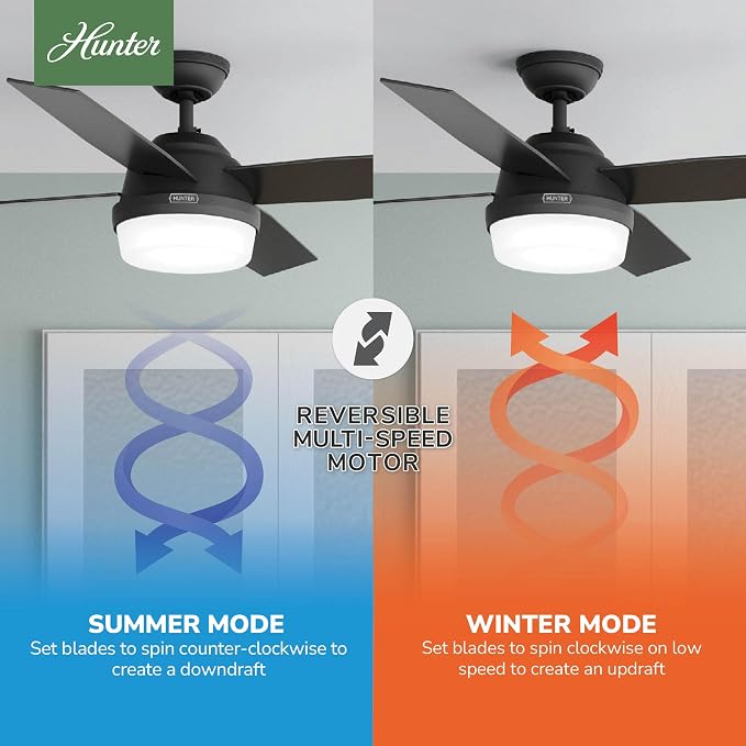 Hunter Dempsey, Indoor, Ceiling Fan, Modern, 4 Blades, 52 inch, Matte Black | with LED Light and Remote Control, Standard Mount, For Bedroom, Living Room, Kitchen, 52388