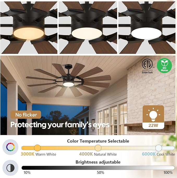 62 Inch 12-Blade Black Ceiling Fan with Light and Remote, for Patio Shop Garage, High CFM Wind Mill Farmhouse Indoor Outdoor Ceiling Fan, Dual Color, 3CCT, 3 Downrods, 6-Speed, DC Motor