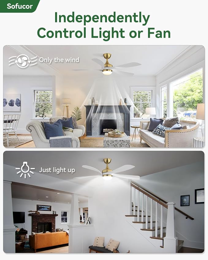 Sofucor 52 Inch Ceiling Fans with Lights and Remote, Outdoor Ceiling Fan with Light 6-Speed 3 CCT 3-Timer, Modern Low Profile Ceiling Fan 5 Blade Reversible DC Motor for Living Room Bedroom Patio