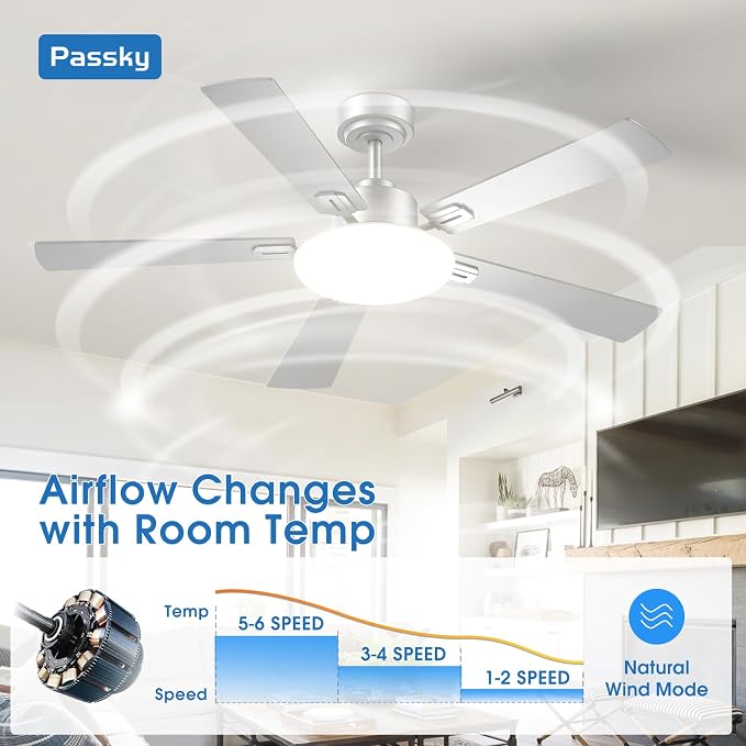 Passky Ceiling Fans with Lights, 52 inch Sleek Ceiling Fan with Light and Remote Control, 3CCT, Dimmable, Reversible, Noiseless, Silver Ceiling Fan for Bedroom, Living Room