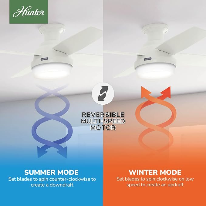Hunter Dempsey, Outdoor or Indoor, Ceiling Fan, Quiet, 44 inch, Fresh White