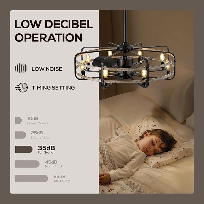 NOXARTE 30 Inch Caged Ceiling Fan with Light, Bladeless Farmhouse Ceiling Fan with Remote 6 Speed Reversible Industrial Fandelier for Living Room Bedroom Kitchen
