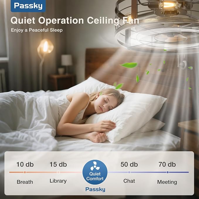 Passky 20 Inch Farmhouse Caged Ceiling Fans with Lights and Remote, Black Downrod Mount Bladeless Fandelier, 6 Speeds Bladeless Ceiling Fan Light for Bedroom, Kitchen, Living Room, Indoor