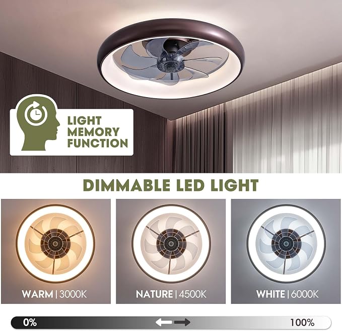 LUDOMIDE Ceiling Fan with Lights and Remote, 20'' Low Profile Flush Mount, 6 Wind Speeds, Modern Dimmable LED, Smart for Bedroom, Kids Room
