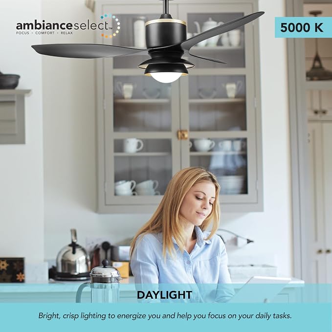 Globe Electric 27106 48" Ceiling Fan with LED Light, Remote Control, WhisperQuiet DC Motor, 6 Speeds, Black with Brass Accents, Reversable Airflow, Ceiling Fans with Lights, Ceiling Lighting