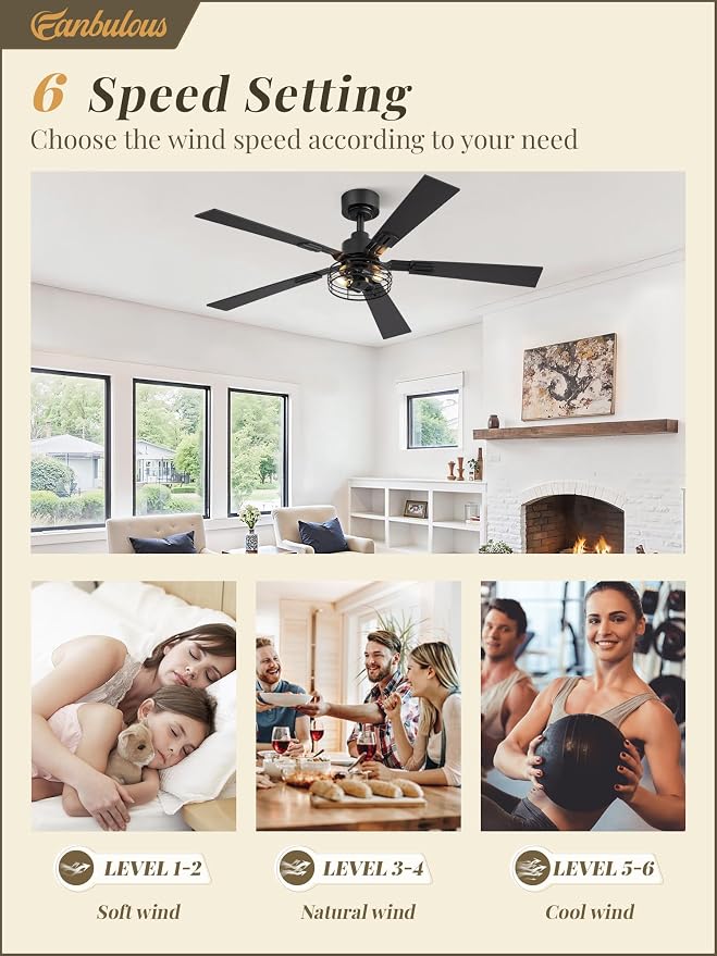 Fanbulous 48 Inch Farmhouse Ceiling Fan with Light and Remote, Rustic Caged Ceiling Fans with 3 Timers, Quiet DC Motor, 5 Dual-Finish Blade for Bedroom Kitchen Small Living Room, Black, 2-Pack